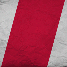 AIP 2021-2022 // Grève interprofessionnelle le 29 mars